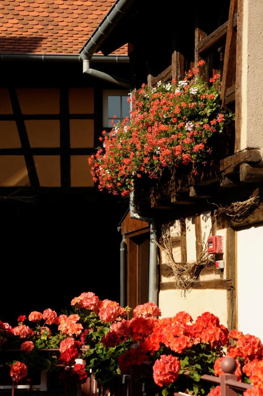 La Cour Du Bailli Suites & Spa Bergheim Eksteriør bilde
